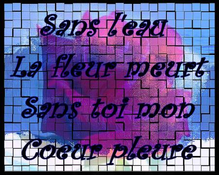 LE COEUR QUI PLEUR 